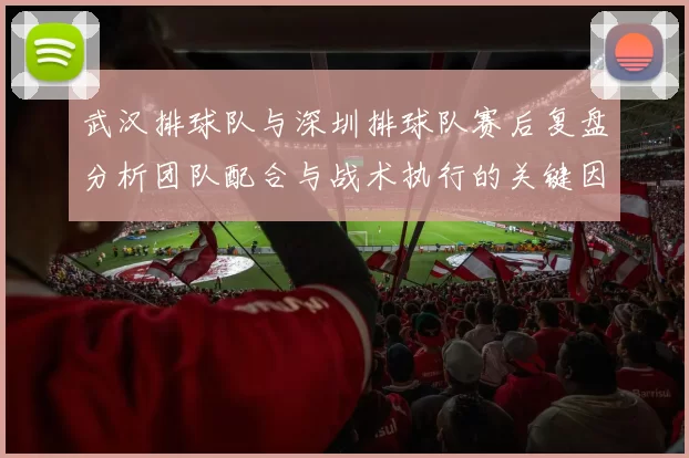 武汉排球队与深圳排球队赛后复盘分析团队配合与战术执行的关键因素