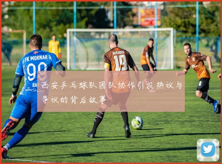 西安乒乓球队团队协作引发热议与争议的背后故事