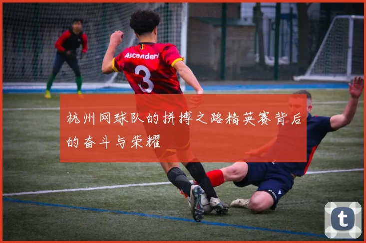 杭州网球队的拼搏之路精英赛背后的奋斗与荣耀