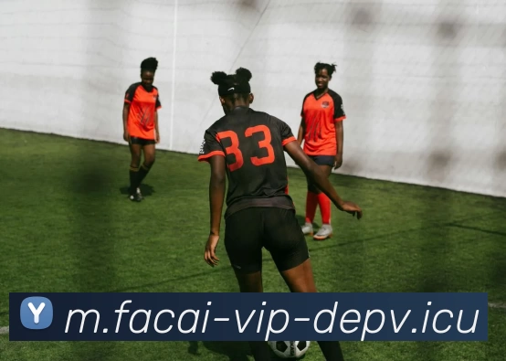 华体会体育平台生态图